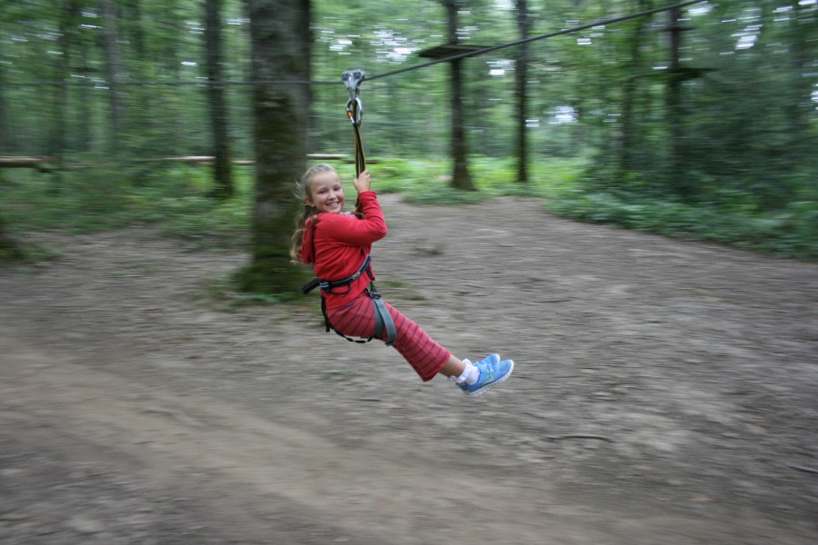 french school trip tree climbing 5