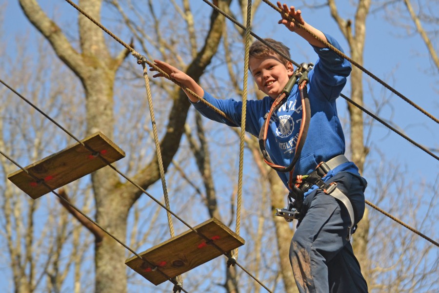 french school trip tree climbing 6